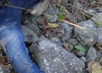 वेवारिसे अवस्थामा एक पुरुषको शव फेला