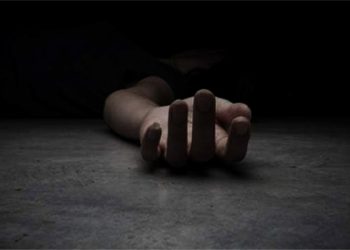 जिप दुर्घटना हुँदा एक बालिकाको मृत्यु, ११ जना घाइते