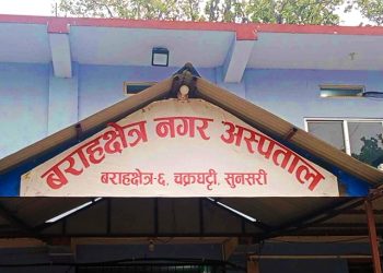 नगरवासीको निःशुल्क डेङ्गु परीक्षण गर्दै वराहक्षेत्र नगरपालिका