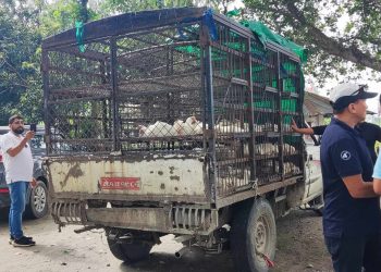 सुनसरी,झापा, मोरङका बजारमा भारतीय कुखुराको अस्वस्थ मासु, खुलेआम तस्कर