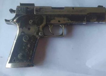 नक्कली पेस्तोलले त्रास फैलाउने दुईजना पक्राउ