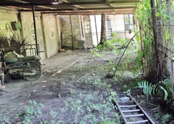 बन्द भृकुटी कागज कारखानाभित्रबाट सडक खोल्ने तयारी