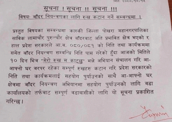 बाँदरले दु:ख दिएपछि वडाले सुरु गर्‍यो रुख काट्ने अभियान