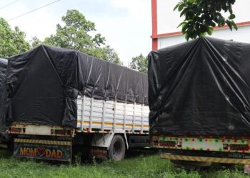 ३२ लाख बराबरको काठ नियन्त्रणमा