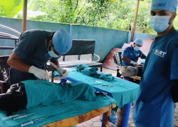 इनरुवामा सामुदायिक कुकुरको बन्धयकरण सुरु