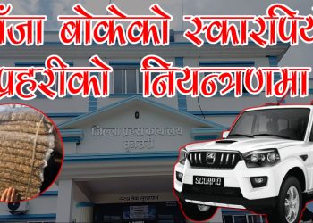 गाँजा बोकेको स्कारपियो प्रहरीकाे  नियन्त्रणमा