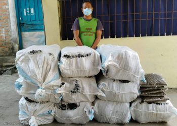 फर्मबाट गाँजा सहित संचालक पक्राउ