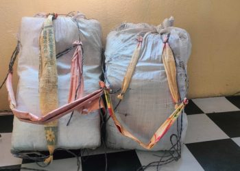 भारततर्फ लैजाँदै गरिएको १२५ केजी गाँजा बरामद