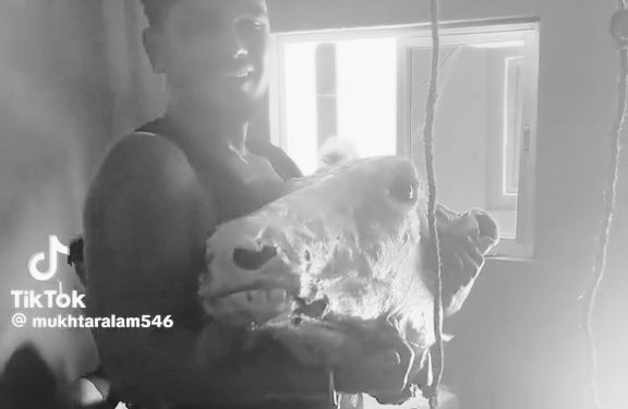 टिकटकमा गाई काटिएको आशंका फैलाउने प्रहरीकाे नियन्त्रणमा