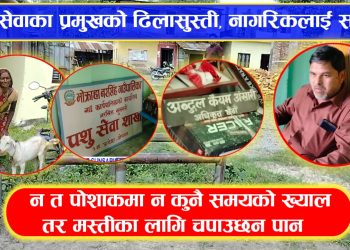 पशु सेवा शाखाका कर्मचारीको ढिलासुस्ती , सेवाग्राहीलाई सास्ती