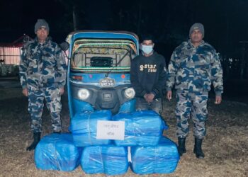 धरानमा १५० किलो गाँजासहित अटो चालक पक्राउ